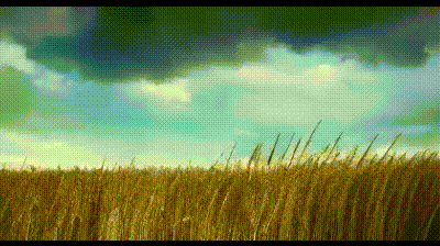 Open-Sora全面开源升级：支持16s视频生成和720p分辨率