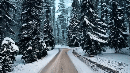 Open-Sora全面开源升级：支持16s视频生成和720p分辨率