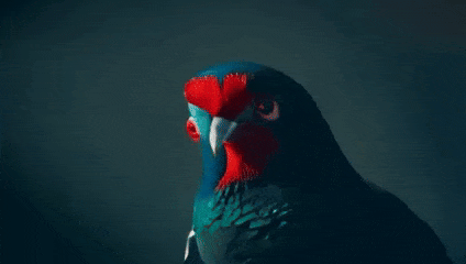 Open-Sora全面开源升级：支持16s视频生成和720p分辨率