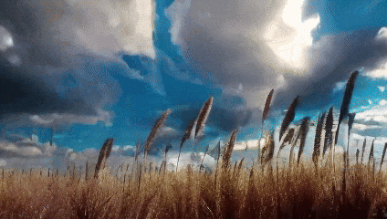 Open-Sora全面开源升级：支持16s视频生成和720p分辨率