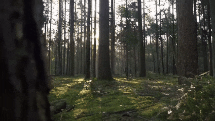 Open-Sora全面开源升级：支持16s视频生成和720p分辨率