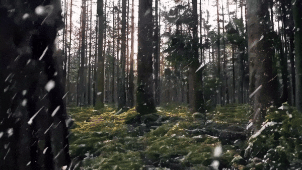 Open-Sora全面开源升级：支持16s视频生成和720p分辨率