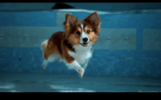 新模型Vidu直逼Sora，生数科技：还说“中国sora”就太没想象力了