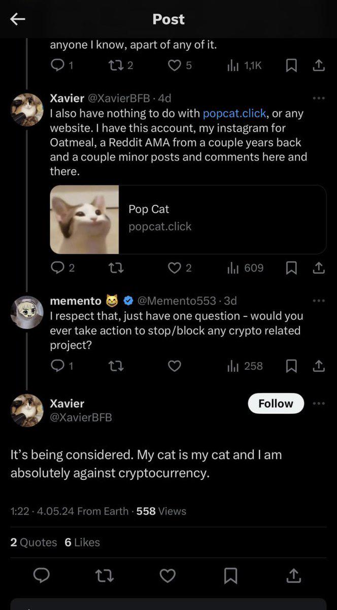 从IP争议到反抗VC，Meme社区正上演「猫王争霸」战