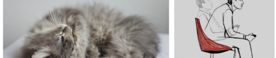 「散户之光」Roaring Kitty回归，同名Meme币一天暴涨百倍缩略图