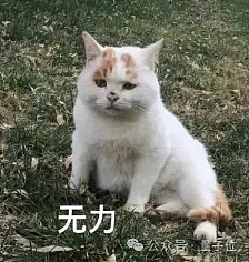 Ilya离开OpenAI内幕曝光:奥特曼砍他团队算力 优先搞产品赚钱插图1 Ilya离开OpenAI内幕曝光:奥特曼砍他团队算力 优先搞产品赚钱