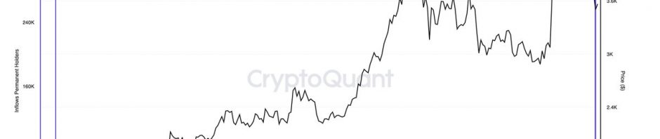 长期持有者（permanent holders）地址6月13日增持29.8万枚以太坊，约13.4亿美元，创下单日历史第二高值缩略图