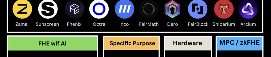 受VC热捧，一览FHE生态值得关注的项目缩略图