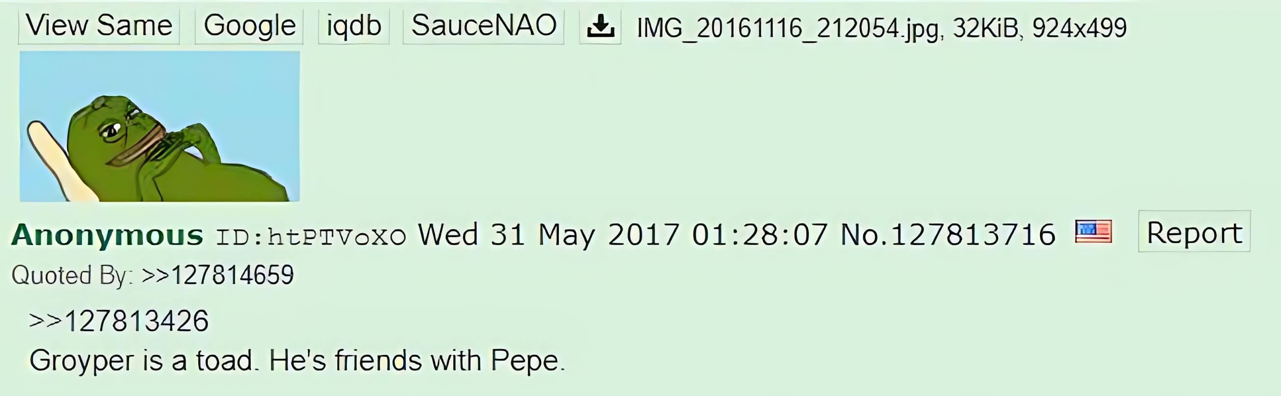 Pepe大反弹,一览青蛙系Meme家谱与背后文化插图9 Pepe大反弹,一览青蛙系Meme家谱与背后文化