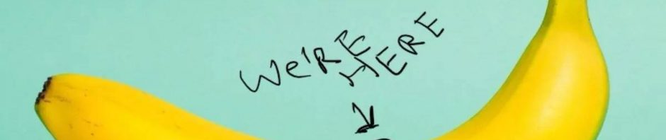 解码「香蕉区」：6个经济指标揭示价格或迎来上涨缩略图