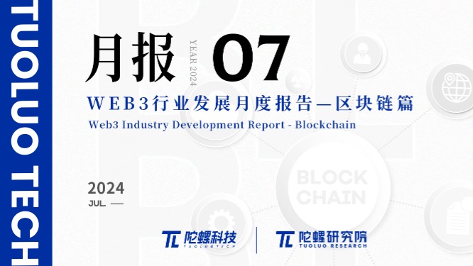 2024年7月Web3行业月度发展报告区块链篇 |陀螺研究院插图 2024年7月Web3行业月度发展报告区块链篇 |陀螺研究院