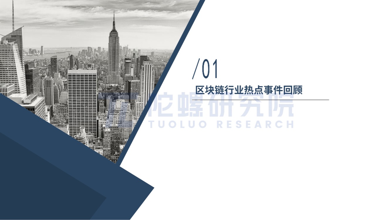 2024年7月Web3行业月度发展报告区块链篇 |陀螺研究院插图4 2024年7月Web3行业月度发展报告区块链篇 |陀螺研究院