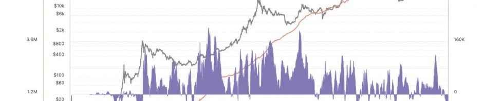巨鲸地址从交易所提出的比特币数量达近9年最高水平缩略图
