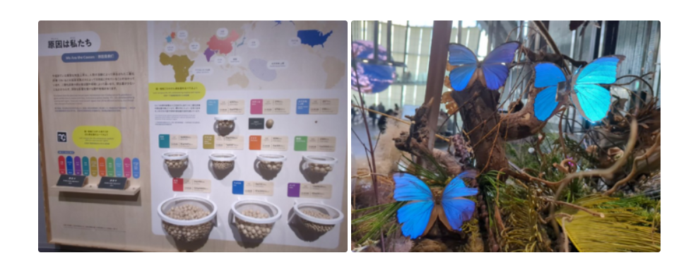 Vitalik新作:科技与人文——迪拜与东京未来博物馆的双重视角插图2 Vitalik新作:科技与人文——迪拜与东京未来博物馆的双重视角