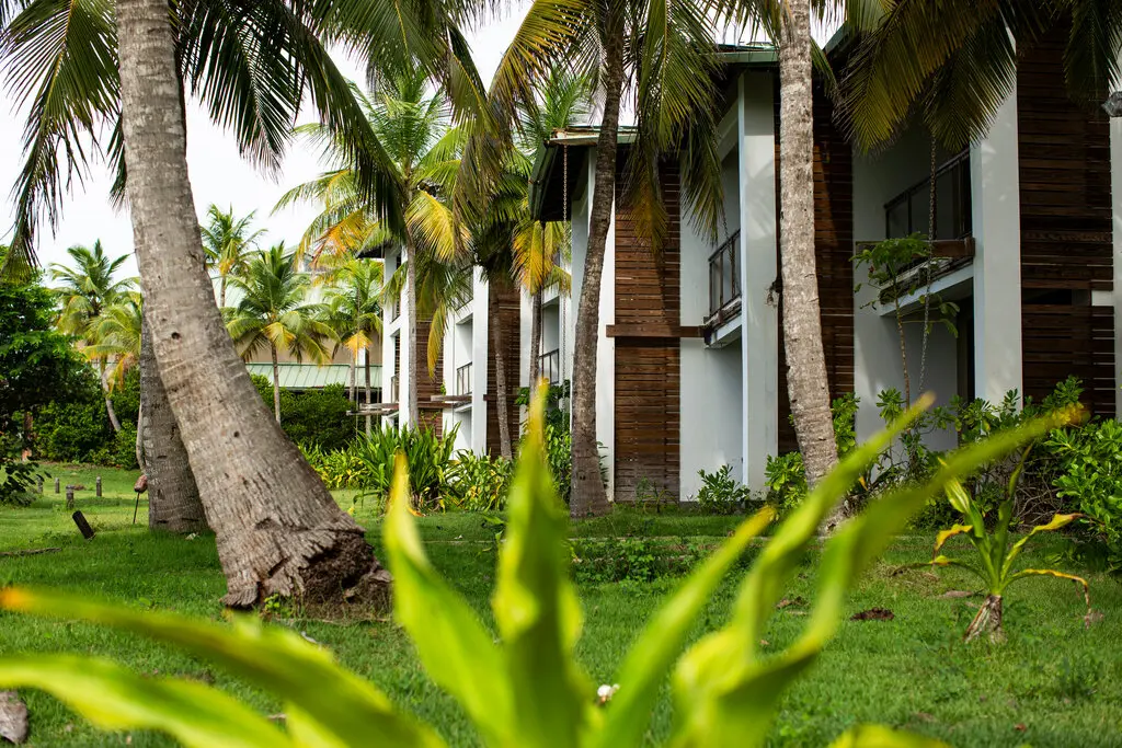 纽约时报:Tether联创和他破灭的加密梦插图1 纽约时报:Tether联创和他破灭的加密梦